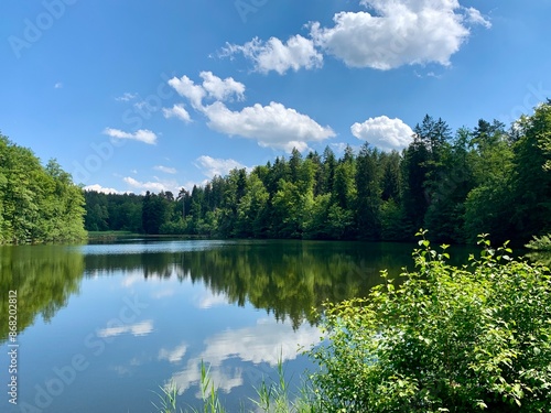 Thalwiler Weiher / Waldweiher von Thalwil bei Gattikon im Sihlwald, Kanton Zürich 