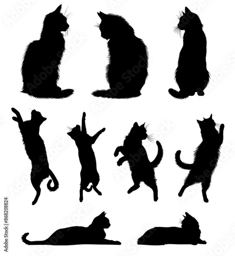 Silhouettes of cats in various poses on a transparent background