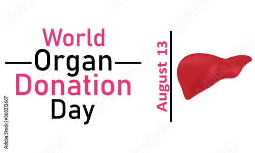World Organ Donor Day. Vector graphics on a white background. Liver on a white background, August 13