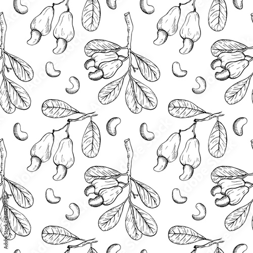 
Cashew nuts seamless pattern. Hand drawn engraved repeating background with cashew branch, nutty fruits. Vector food illustration for textile, banner, wrapping, paper Organic ingredient, oil, harvest