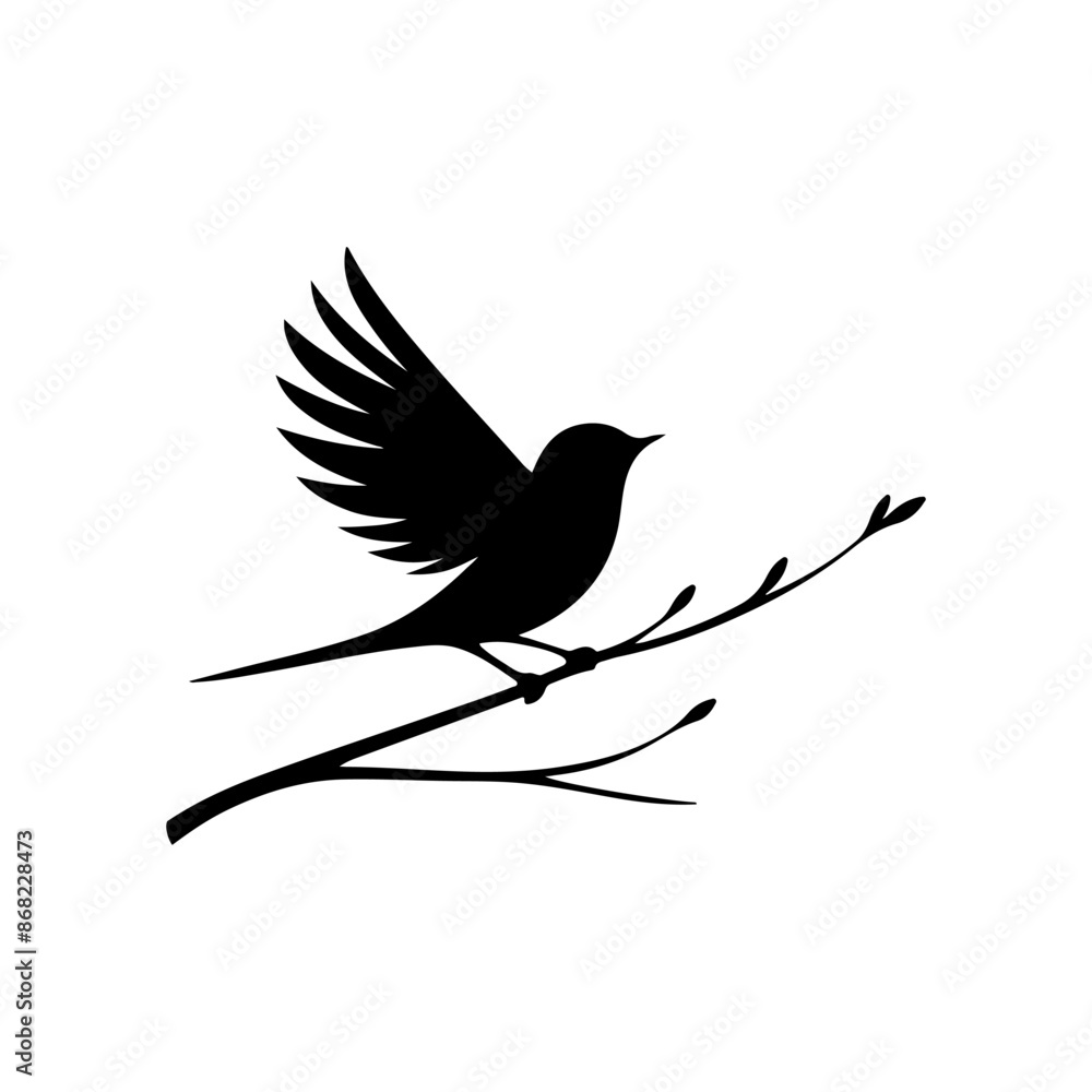 Fototapeta premium a bird that is black and white