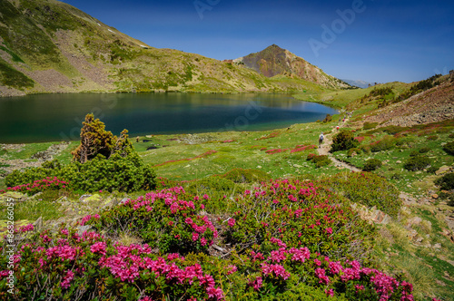 Carlit Lakes, Les Bouillouses, in summer (Pyrenees Orientales, France)