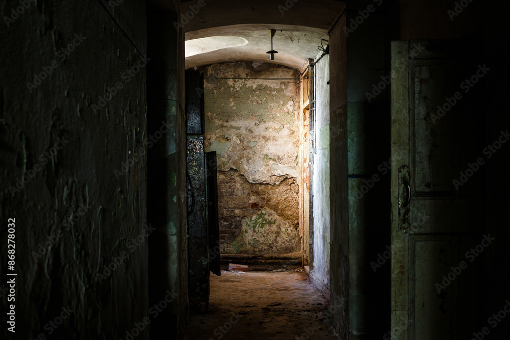 The corridor of an old gloomy house with shabby walls, a walk through scary places The corridor of an old gloomy house with shabby walls, a walk through scary places