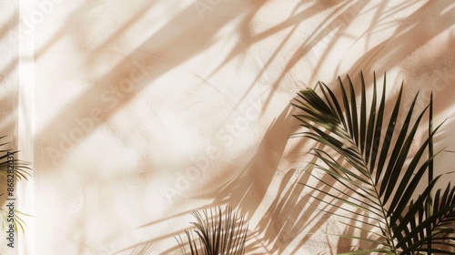 Tropical palm leaf shadows on a textured wall