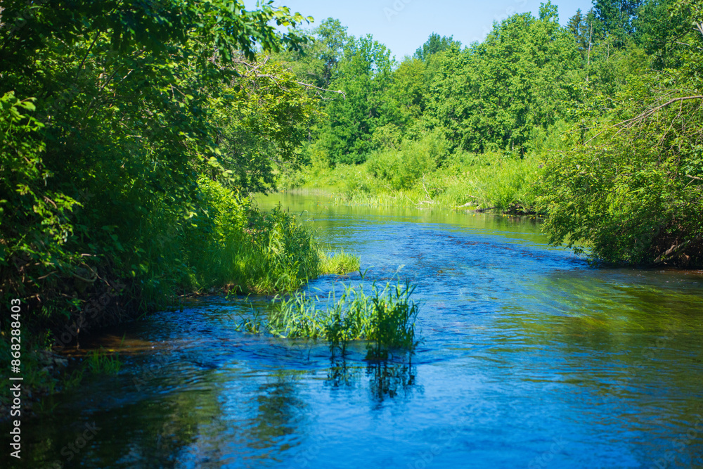 Idyllic River Flowing in a Green Forest. Calm Stream with Lush Vegetation on a Summer Day. Idyllic River Flowing in a Green Forest. Calm Stream with Lush Vegetation on a Summer Day.