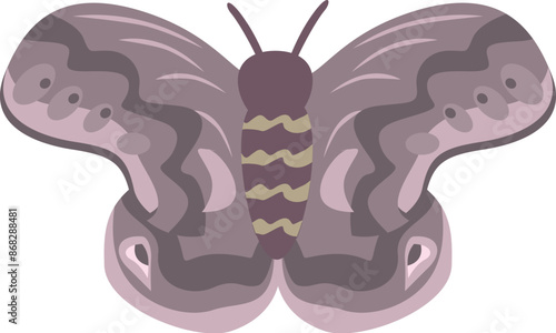 Purple moth with patterned wings, showcasing the beauty and detail found in nature