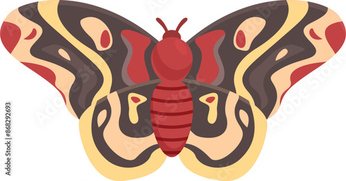 Colorful exotic butterfly spreading its wings on white background