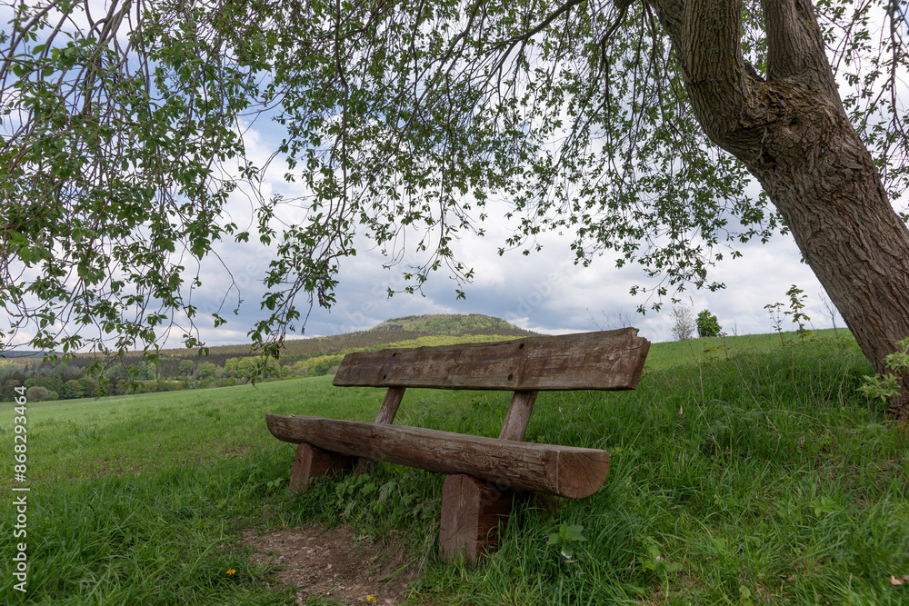 Empty wooden bench in front of the mountain under a deciduous tree Empty wooden bench in front of the mountain under a deciduous tree