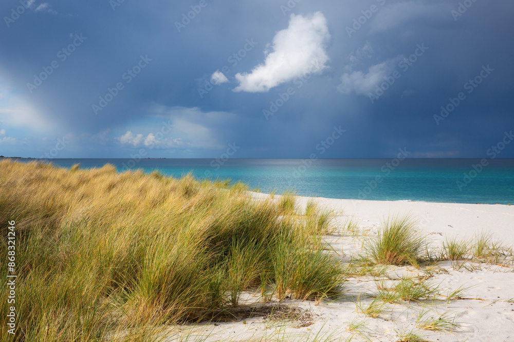 Sun drenched white, sand beach with tussock grass in foreground and a dramatic rain storm on the horizon. Sun drenched white, sand beach with tussock grass in foreground and a dramatic rain storm on the horizon.