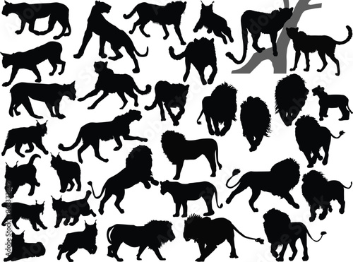 large set of predator animals isolated on white