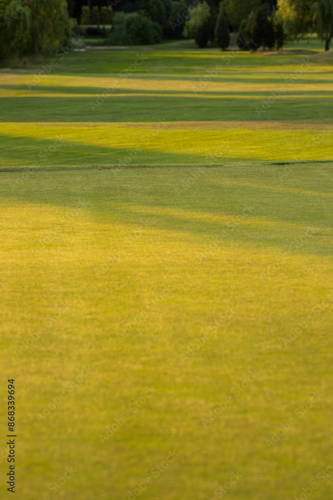 Obraz premium Golf course in green field