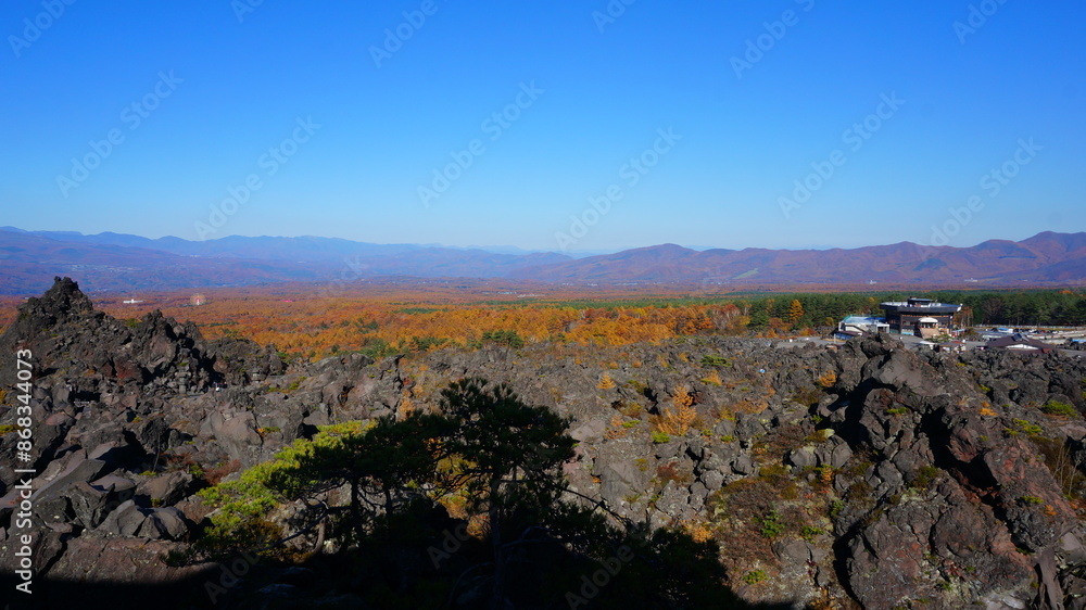 Fototapeta premium 秋の鬼押出し園