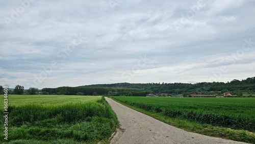 Landschaft zwischen Bammental und Mauer