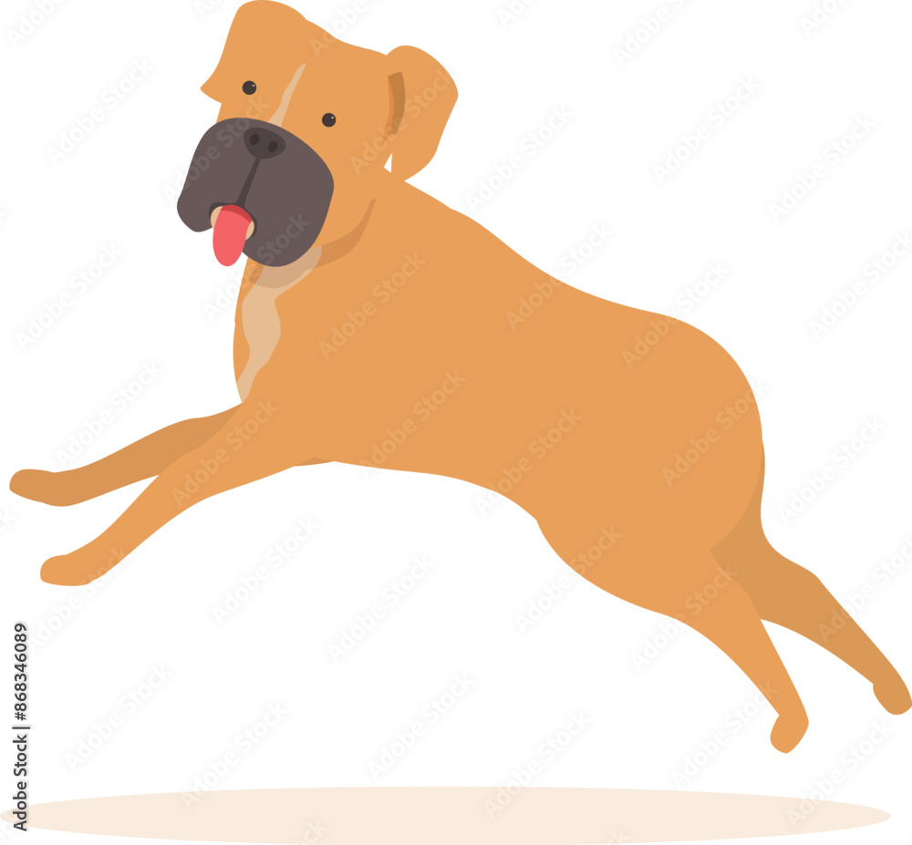 Happy boxer dog jumping in the air with its tongue sticking out Happy boxer dog jumping in the air with its tongue sticking out
