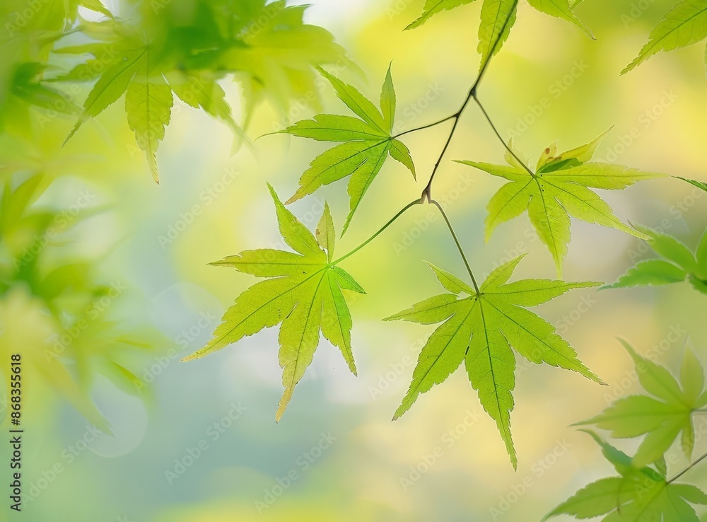 Vibrant Green Leaves Against Blurred Background Vibrant Green Leaves Against Blurred Background