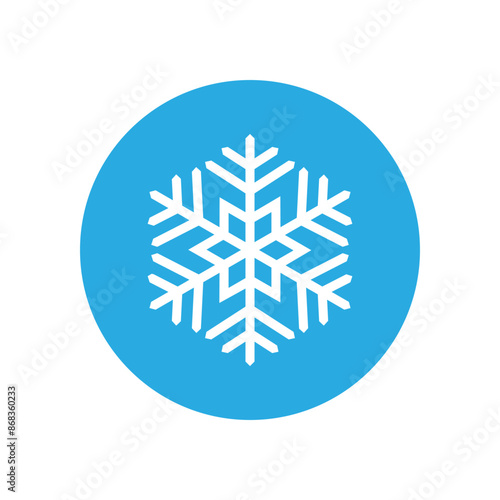 Snowflake icon vector. Winter illustration sign. Cold illustration symbol. 