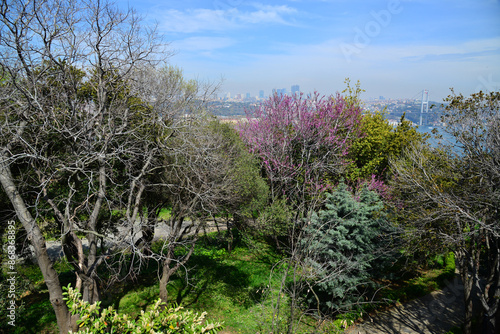 A view from Fethi Pasha Grove in Uskudar, Istanbul, Turkey photo