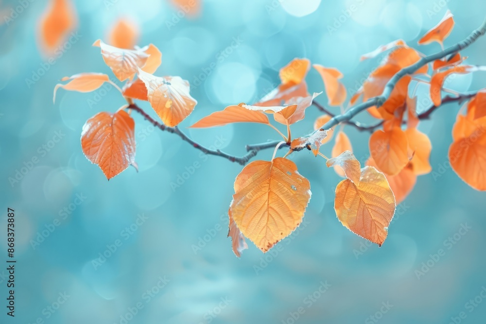 Autumn Leaves on a Blurred Branch Autumn Leaves on a Blurred Branch