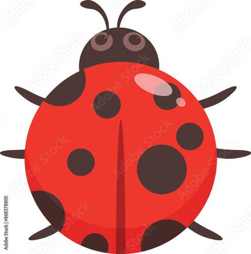 Red ladybug showing its black spots on white background