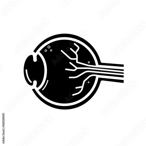 eyeball, cross-section of the eye - vector icon