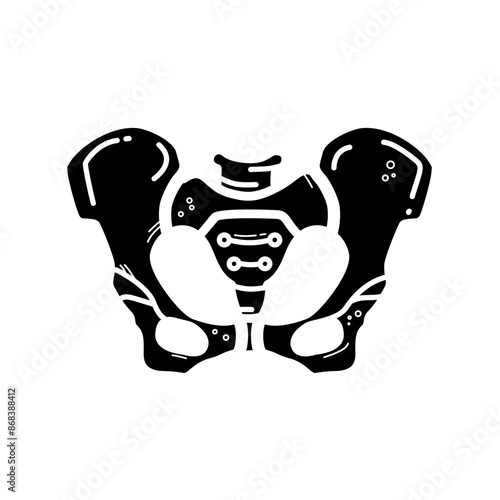 human pelvis, pelvic bone - vecroe icon	