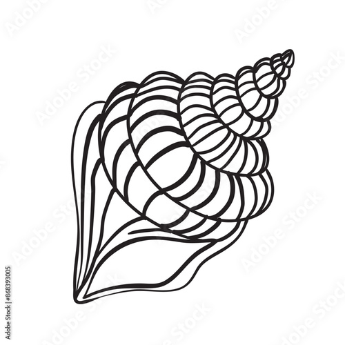 Vector Seashell. Hand drawn illustration of sea Shell on isolated background. Drawing of Scallop on outline style. Sketch of Cockleshell painted by black ink.