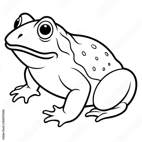 toad vector illustration
