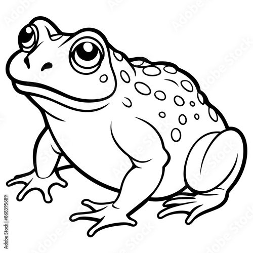 toad vector illustration