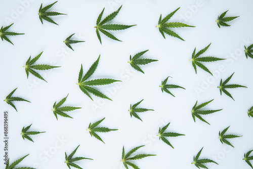 Cannabis ,marijuana isolated on white background