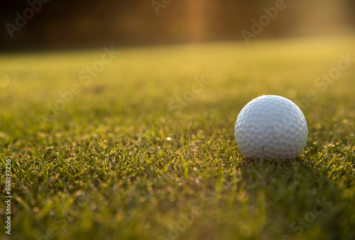 Closeup Golf ball on green grass on course