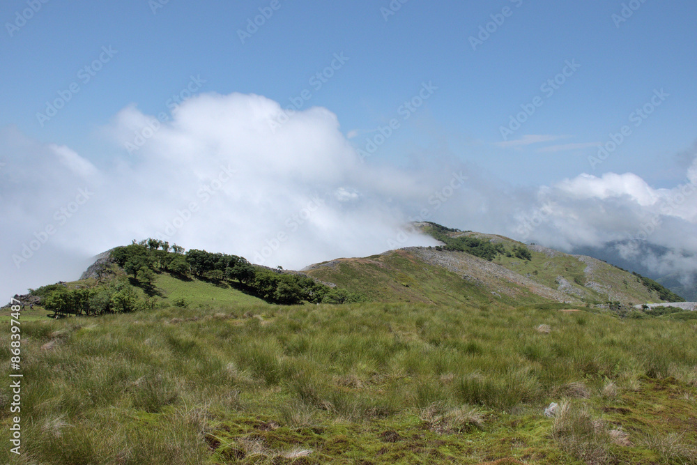 Fototapeta premium 雲に覆われる山、風になびく草原