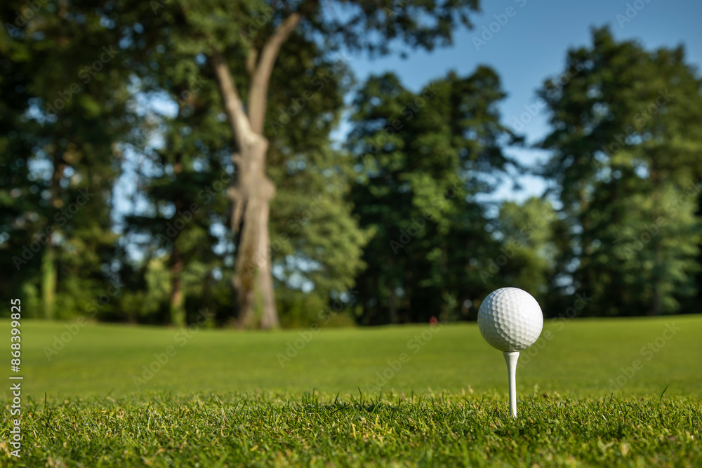 .Golf course with ball and grass