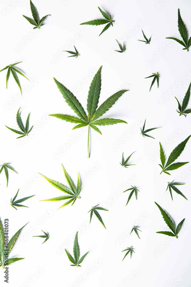 Naklejka premium Cannabis leaves with marijuana, cbd, Flat lay composition