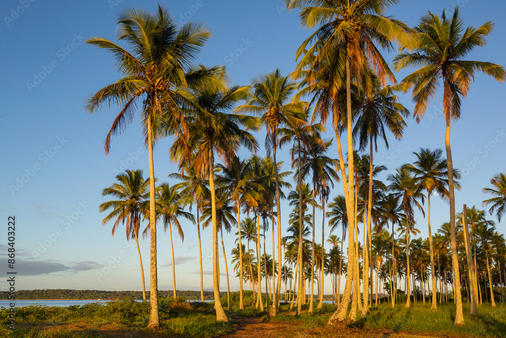 Obraz premium Tropical beach