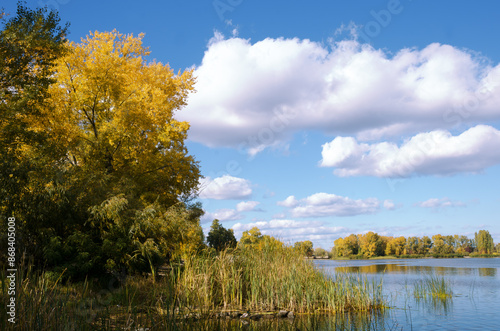 Autumn landscape on the river bank in the Obolonsky district of Kyiv, near a residential area, wild nature. photo