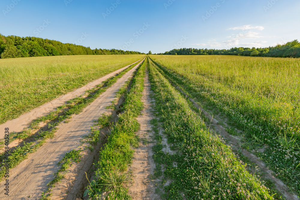 Road on the meadow at summer sunset. Road on the meadow at summer sunset.