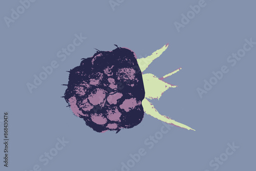 Blackberry symbol, black berry icon. Vector colorful mulberry and blackberries drawing. Black raspberry illustration for logo and emblem design. Floral sketch. Hand drawn botanical sign.