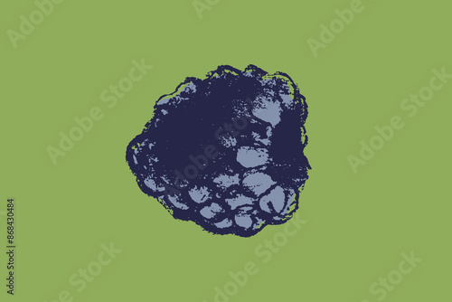 Blackberry symbol, black berry icon. Vector colorful mulberry and blackberries drawing. Black raspberry illustration for logo and emblem design. Floral sketch. Hand drawn botanical sign.