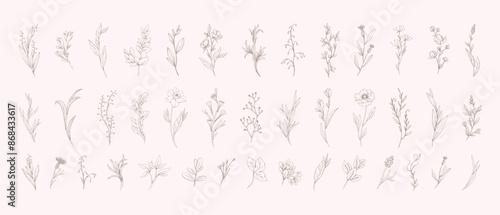 Botanic set of detailed various flowers and brunch. Luxury vintage floral collection for wedding invitation, wallpaper art or save the date card. Botanical vector illustration