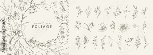 Botanic set of detailed various flowers and brunch. Luxury vintage floral collection for wedding invitation, wallpaper art or save the date card. Botanical vector illustration
