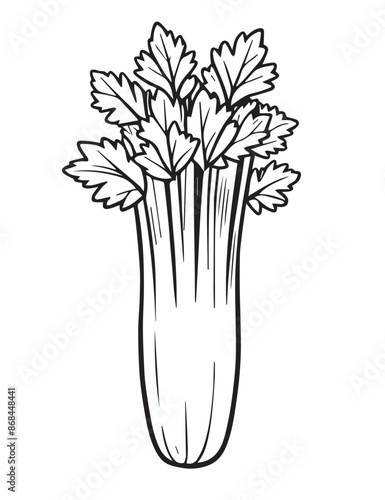 Illustration Coloring draw vegetable fresh cellery black and white version good for kids photo