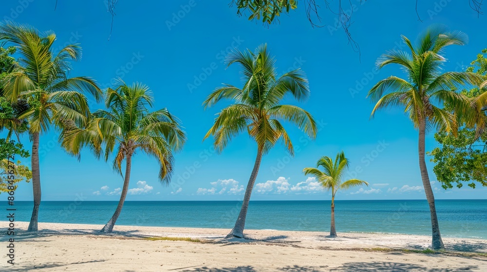 Tropical Paradise: Palm Trees on a Sandy Beach Tropical Paradise: Palm Trees on a Sandy Beach