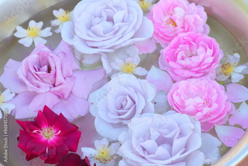 フローティングフラワー