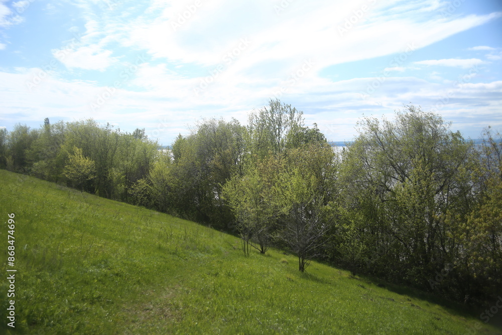 landscape with trees and blue sky landscape with trees and blue sky