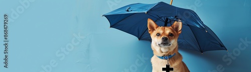 Umbrella over a pet with a veterinary symbol, representing pet insurance coverage, pet safety