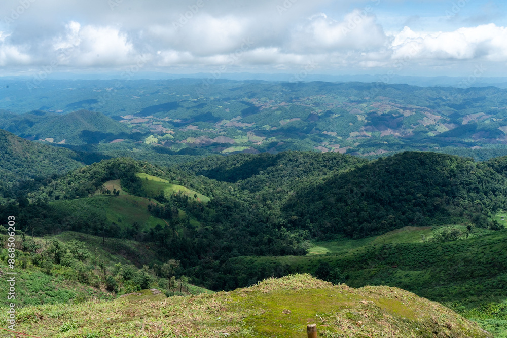 Obraz premium A panoramic summer mountain landscape unfolds with lush green meadows and forests stretching towards majestic peaks under a cloudy sky