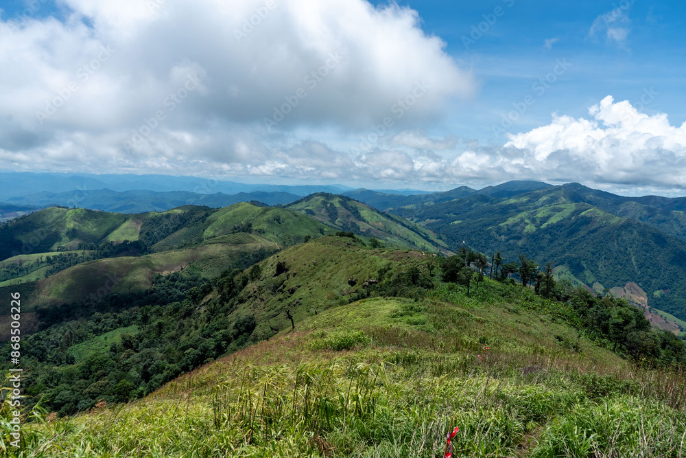 Fototapeta premium Lush green meadows stretch towards snow-capped peaks under a bright summer sky with fluffy clouds