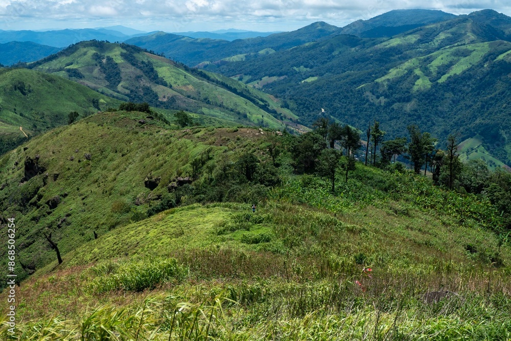 Fototapeta premium Panoramic view of a lush green alpine meadow nestled between snow-capped mountains under a bright summer sky