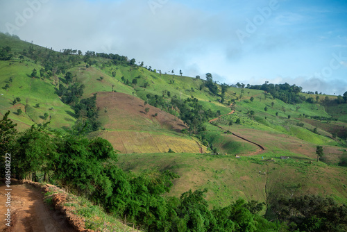 Lush green hills roll under a bright blue sky with fluffy white clouds in this scenic landscape