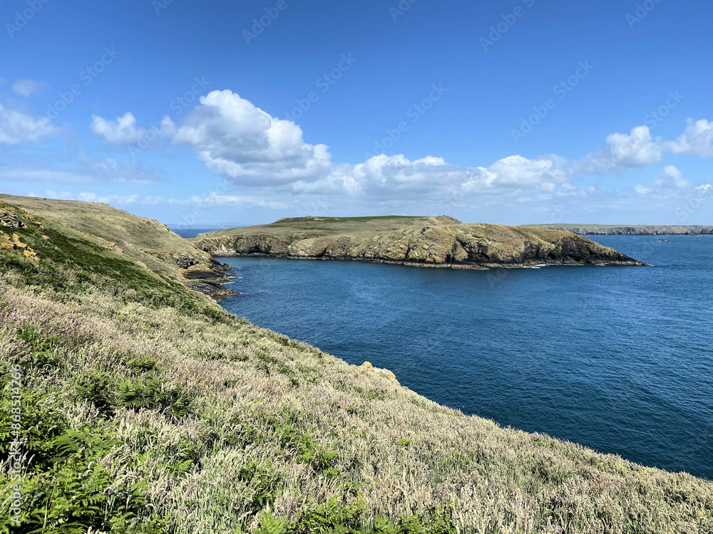 Fototapeta premium A view of the South Wales Coast at Skomer Island